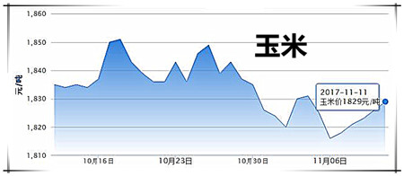 11月12日豬評：氣溫再下降，市場需求回升，豬價略有回溫