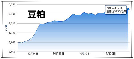 11月12日豬評：氣溫再下降，市場需求回升，豬價略有回溫